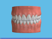 7026484_orig